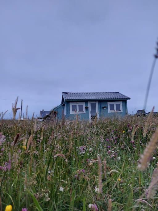 Seafield Cabin Tromora West Zewnętrze zdjęcie